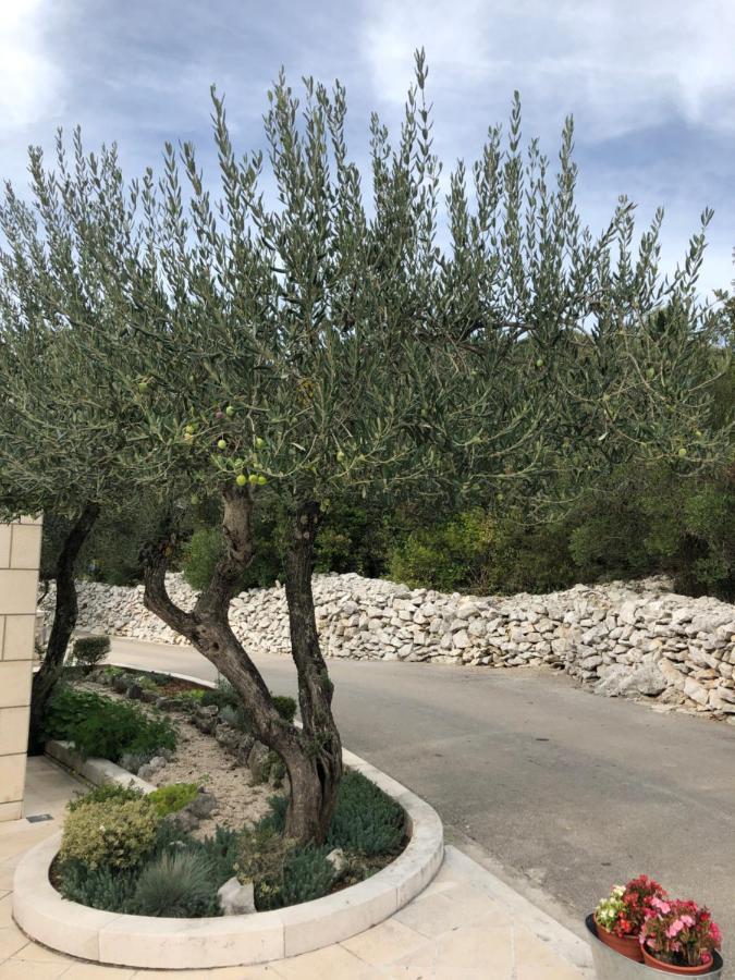 Zrnovo Apartments Blanka מראה חיצוני תמונה