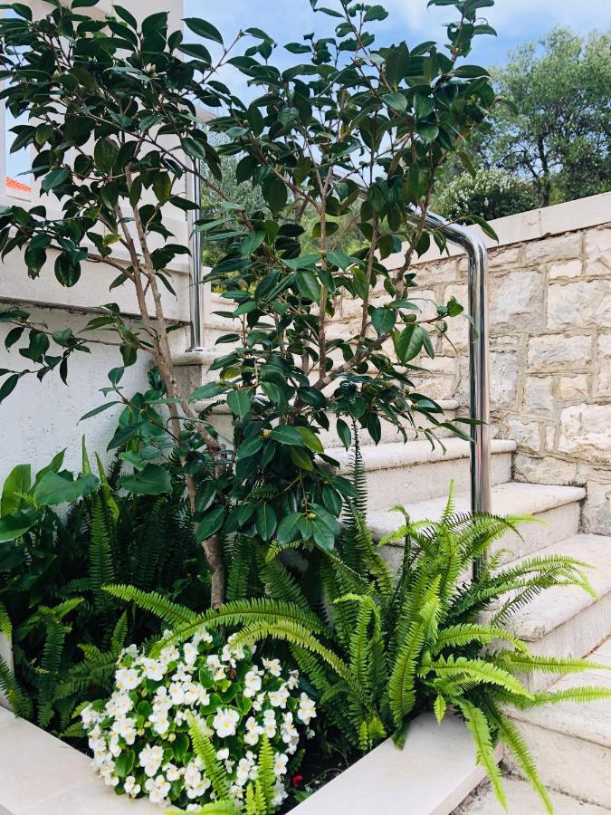 Zrnovo Apartments Blanka מראה חיצוני תמונה