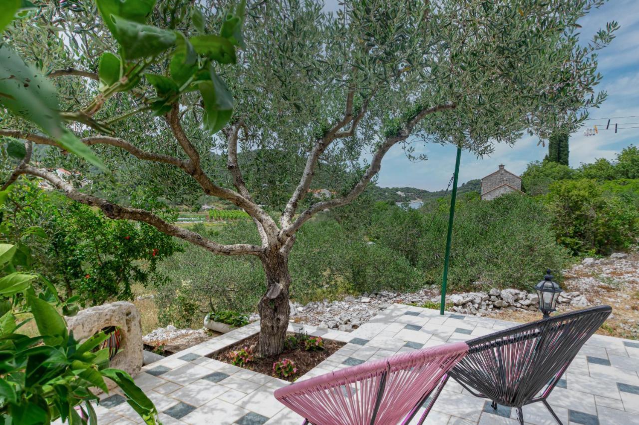 Zrnovo Apartments Blanka מראה חיצוני תמונה